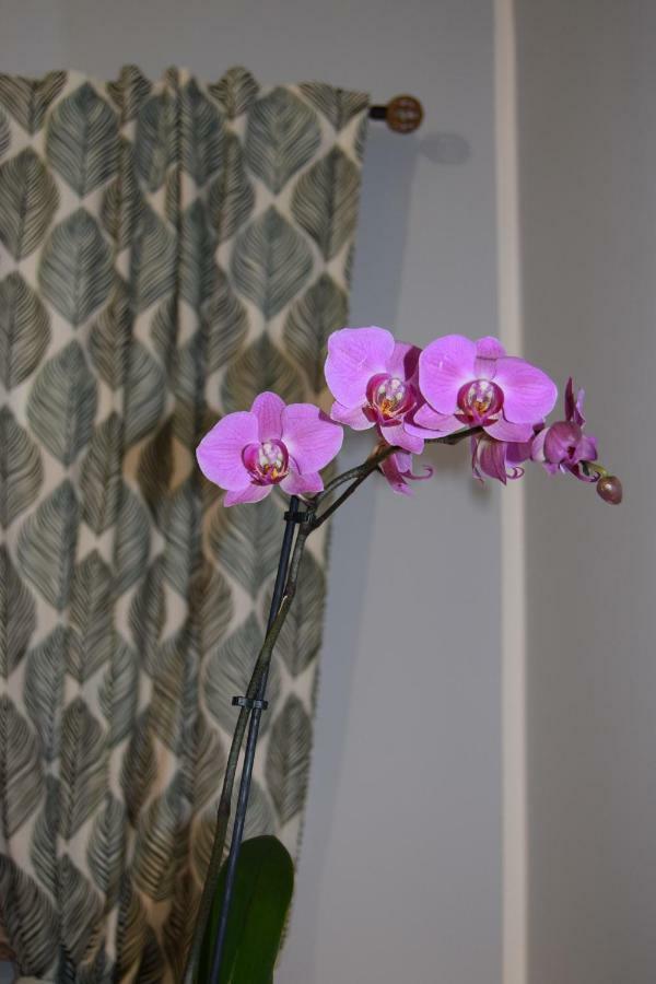 Domunua Holiday House 切法卢 外观 照片